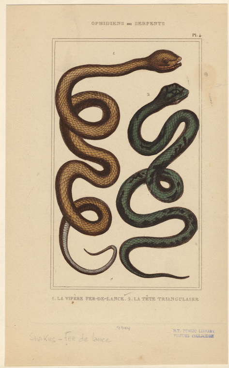 Image ID 807557
