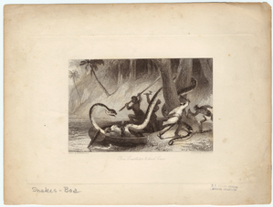 Image ID 807562