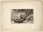 Image ID 807562