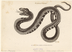 Image ID 807563