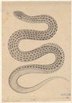 Image ID 807566