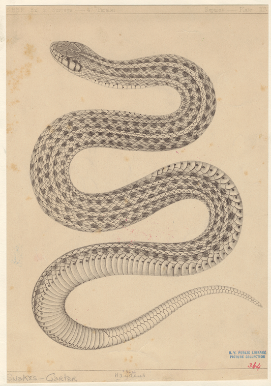 Image ID 807566
