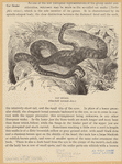 Image ID 807569