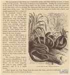 Image ID 807570