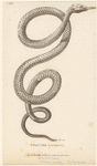 Image ID 807571