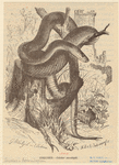 Image ID 807577