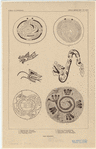Image ID 807579
