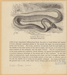 Image ID 807580