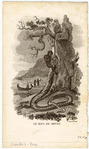 Image ID 807591