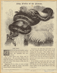 Image ID 807593