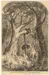 Image ID 807594