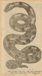 Image ID 807595