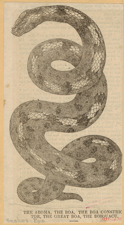 Image ID 807595
