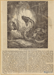 Image ID 807596