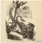 Image ID 807598