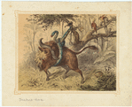 Image ID 807599