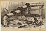 Image ID 807600