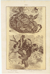 Image ID 807601