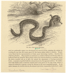 Image ID 807602