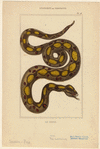 Image ID 807603