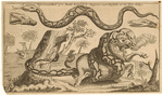 Image ID 807604