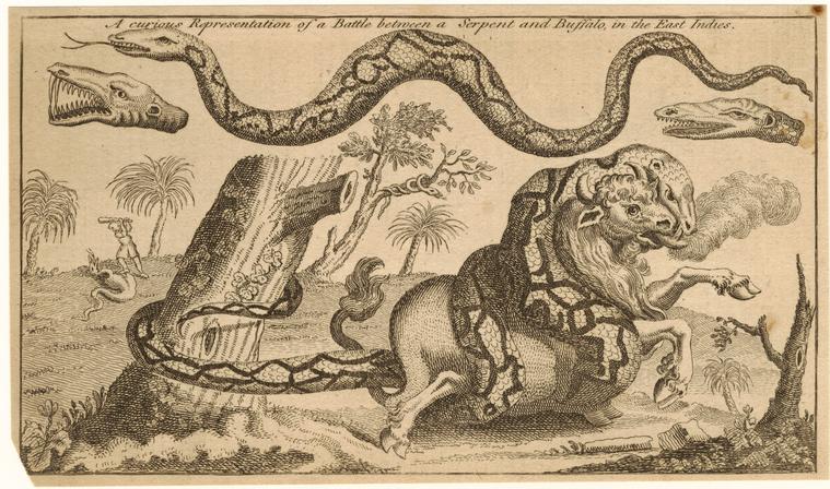 Image ID 807604
