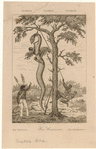 Image ID 807605