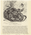 Image ID 807606
