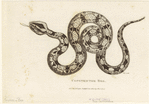Image ID 807607