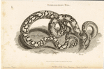 Image ID 807608