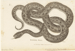 Image ID 807610