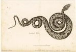Image ID 807611
