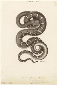 Image ID 807613