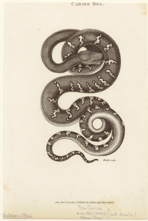 Image ID 807613

