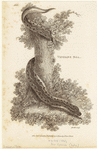 Image ID 807615