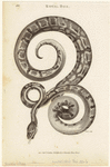 Image ID 807616