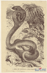 Image ID 807621