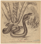 Image ID 807623