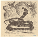 Image ID 807626