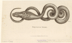 Image ID 807629