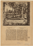 Image ID 807633