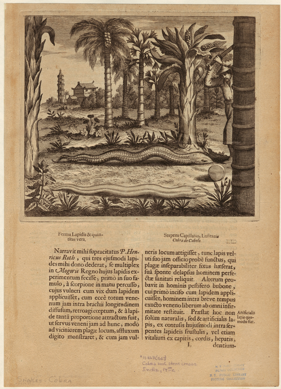 Image ID 807633
