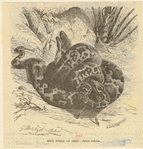 Image ID 807636
