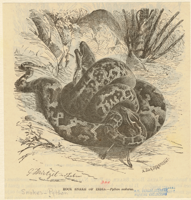 Image ID 807636
