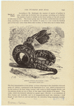 Image ID 807638