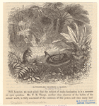 Image ID 807644