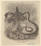 Image ID 807647