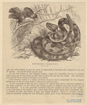 Image ID 807648