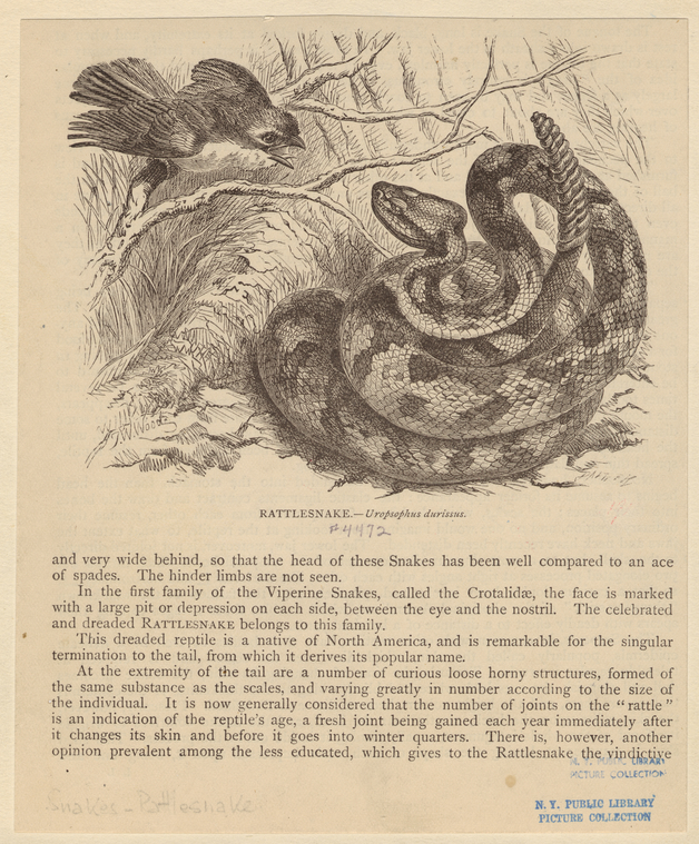 Image ID 807648
