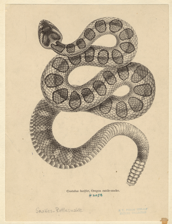Image ID 807649
